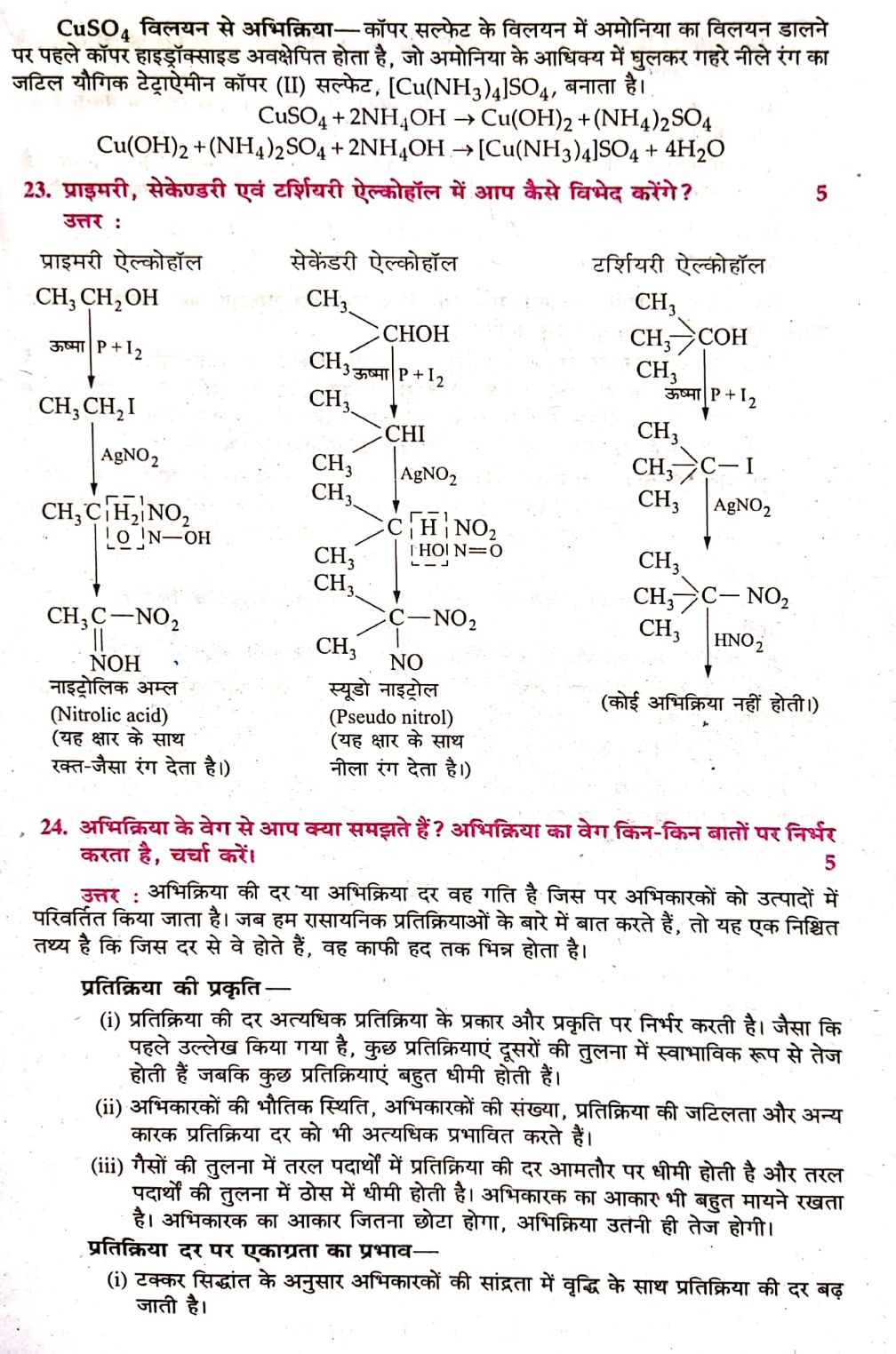 12th chemistry assignment answers 2022 pdf